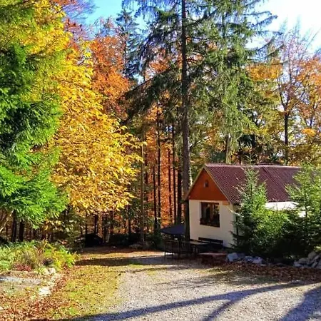 Pod Bukem Διαμέρισμα Bystrice (Moravia-Silesia)