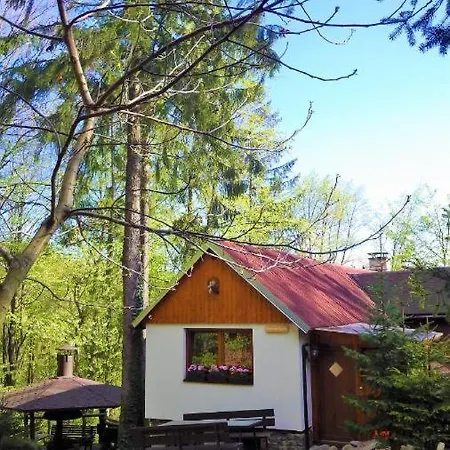 Pod Bukem Bystrice (Moravia-Silesia)